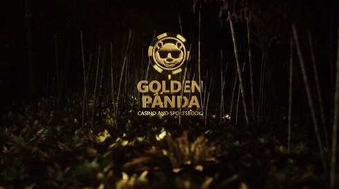 Bingo Casino Online App NL