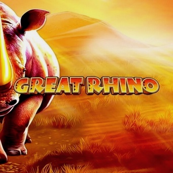 Bingo Casino Online mobile app