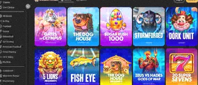 Bovegas casino app