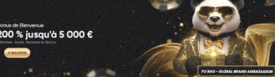 Echtgeld Casino spellen