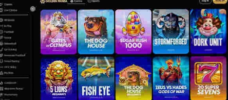 FG Casino NL App spellen