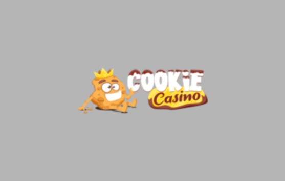 Flash Casino Rotterdam mobile app