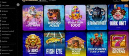 Flash Casino Sneek vergunning