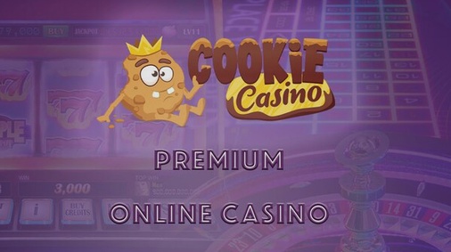Naudapay Casino bonus