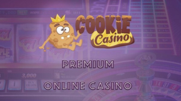 Pay Play Casino login