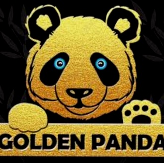 Schiphol Casino Bonus